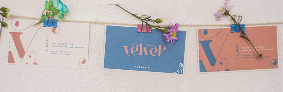 Velvet | Branding
